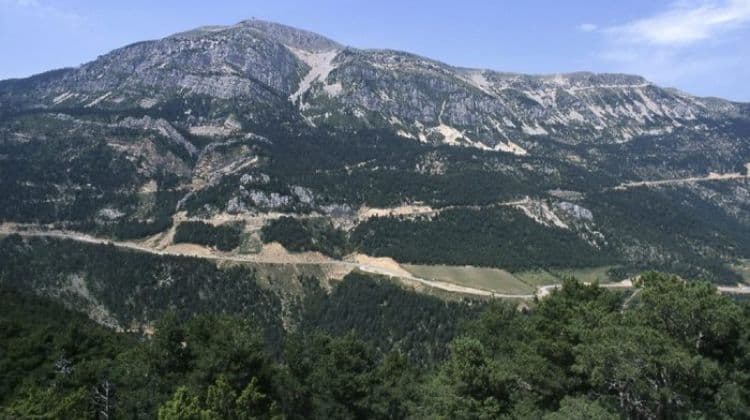 Serra del Port del Comte Natural Area