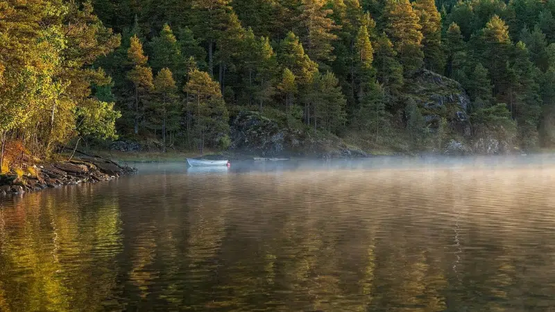 Día Mundial del Medio Ambiente: Conectando y protegiendo la naturaleza